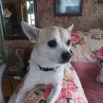 Darlene Cramer - Facebook