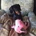 Darlene Ferris-Cramer - Facebook