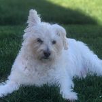 DDellaRocca - @darlene_della_rocca - Instagram