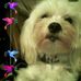 Darlene Denton - Facebook