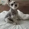 Darlene Devito - @darlenedevito - TikTok