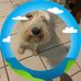 Darlene Dickson - Facebook