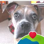 Darlene Dingman - Facebook
