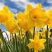 Darlene Warren Doerr - Facebook