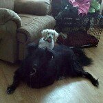 Darlene Doherty - @zookeeper65 - Instagram