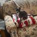 Darlene Doherty - Facebook