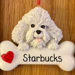 Darlene Dolan - @darlene.dolan.7 - Instagram
