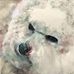 Darlene Dolan - Facebook