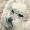 darlenedolan423 - @darlenedolan423 - TikTok