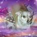 Darlene Donelson - Facebook