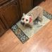 Darlene Doss - Facebook