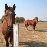 Darlene Drew - @darlenedrew7 - Instagram