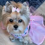 Darlene Duncan - @snowfallscr7859 - Instagram