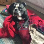Darlene Edwards - @darseds - Instagram