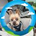 Darlene A Shaw - Facebook