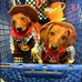 Darlene Firestone Dolly Hockersmith - Facebook