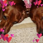Darlene Firestone-Hockersmith - Facebook