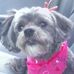 Darlene Frey - Facebook