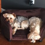 Darlene Frey Dunsmoor - @darlenedunsmoor - Instagram