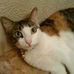 Darlene Gates - Facebook