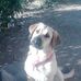 Darlene Gerhardt - Facebook