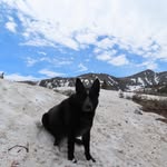 Darlene Gerry - @dar3839 - Instagram