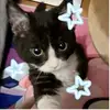 Darlene Gill - @darlenegill - TikTok