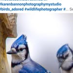 Darlene A. Gilmore - @darlenegilmore12 - Instagram