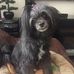 Darlene Kluch - Facebook