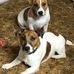 Darlene Wood Glick - Facebook