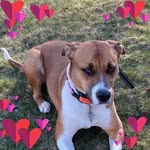 Darlene Glidden - @darlene.glidden.56 - Instagram