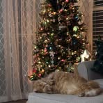 Darlene Glidden - Facebook