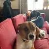 Darlene Glidden - @darlene.glidden - TikTok