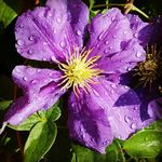 Darlene Graff Turgeon - @turgeondarlene - Instagram