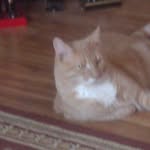 Darlene Grubb Nicholas - @dar_nicholas1958 - Instagram
