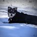 Darlene Crotts Hackett - Facebook
