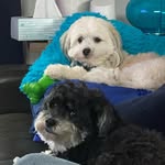 Darlene Hackett - @mommab_bear - Instagram