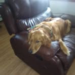 Darlene Hackworth - Facebook