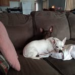 Darlene Hackworth - Facebook