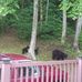 Darlene Hamm - Facebook