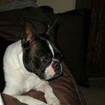 Darlene Hamm - @hamm_darlene - Instagram