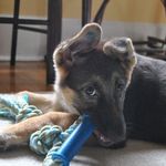 Darlene Hammell - @darlenehammell - Instagram