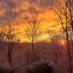 Darlene Hammer - Facebook