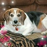 Darlene Hammermeister - @darlenehammermeister - Instagram