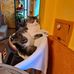 Darlene Hare - Facebook