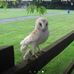 Darlene Hawkins - Facebook