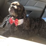 Darlene Hawksley - @darlenehawksley - Instagram