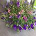 Darlene Hay - Facebook