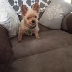 Darlene Hazel - Facebook