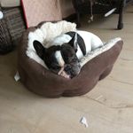 Darlene Head - @darlenehead4 - Instagram